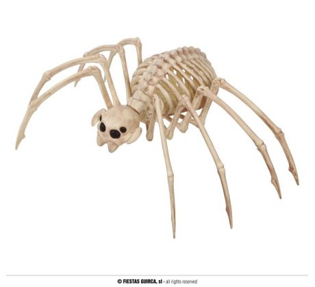 Pavúčia kostra 35 cm