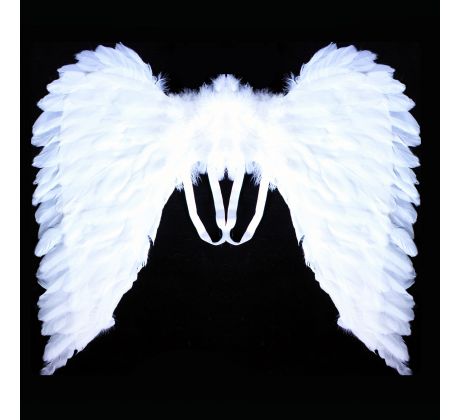 Krídla pre anjela 51x54 cm